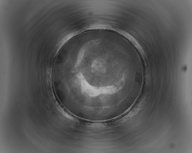 X0000100471337200806201558