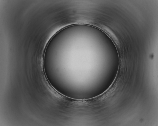 X0000100471340200806201558