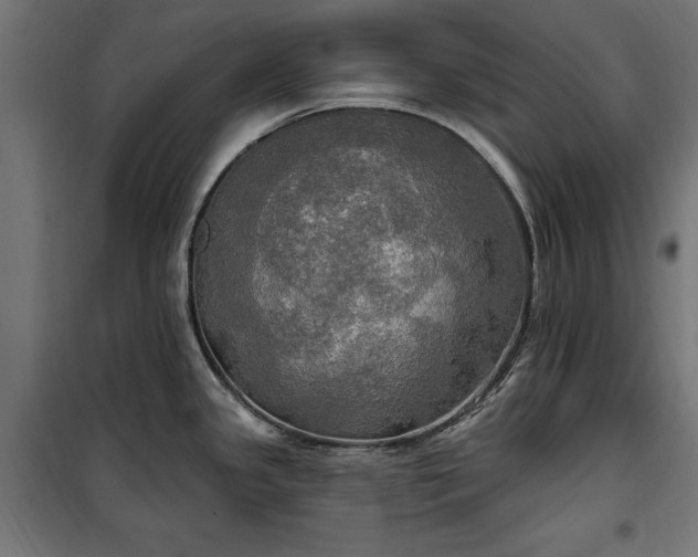 X0000100471341200806201558