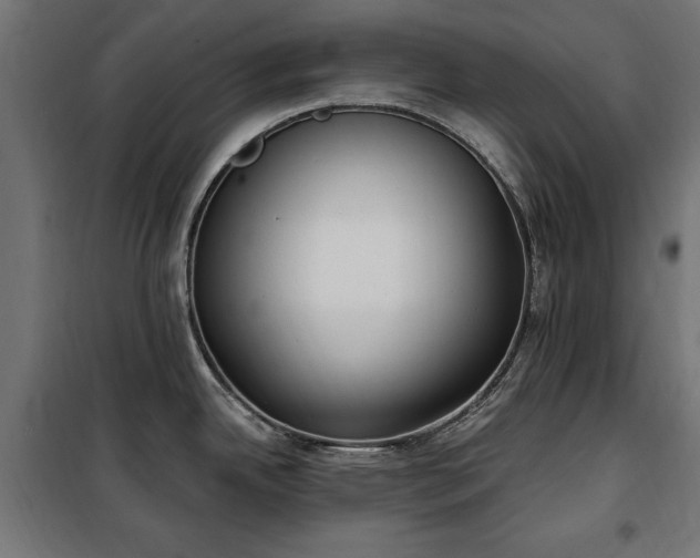 X0000100471342200806201558