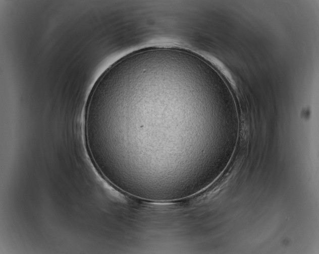 X0000100471343200806201558