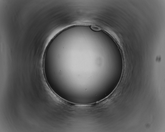 X0000100471344200806201558