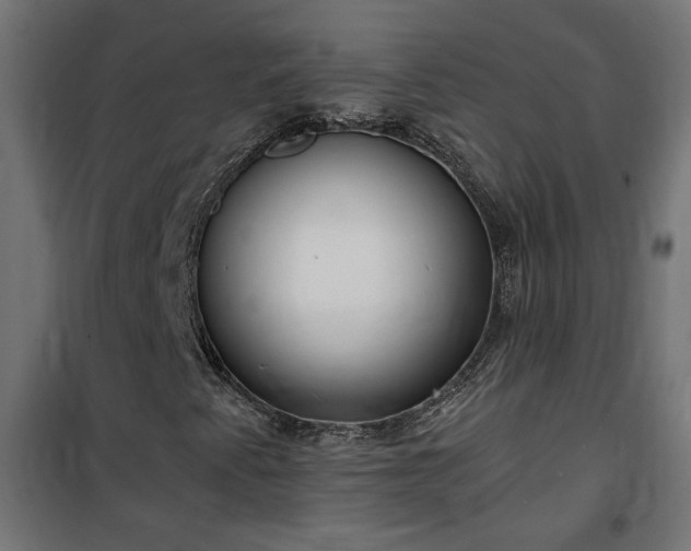 X0000100471345200806201557