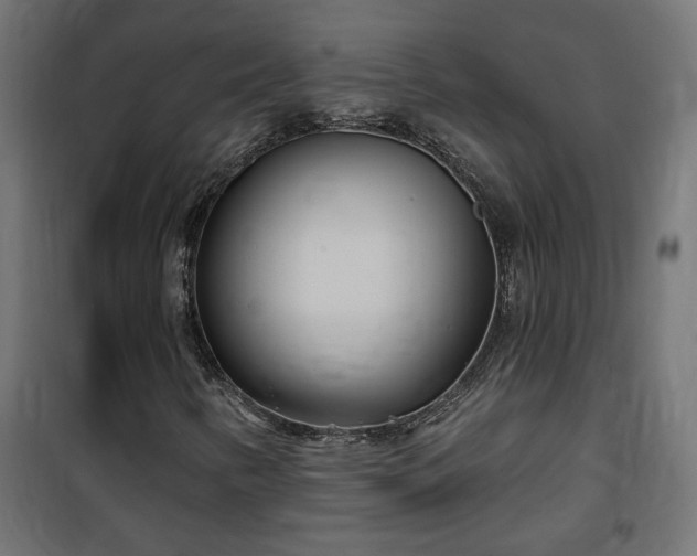 X0000100471346200806201557