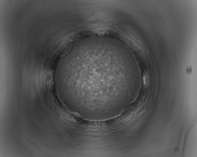 X0000100471347200806201557