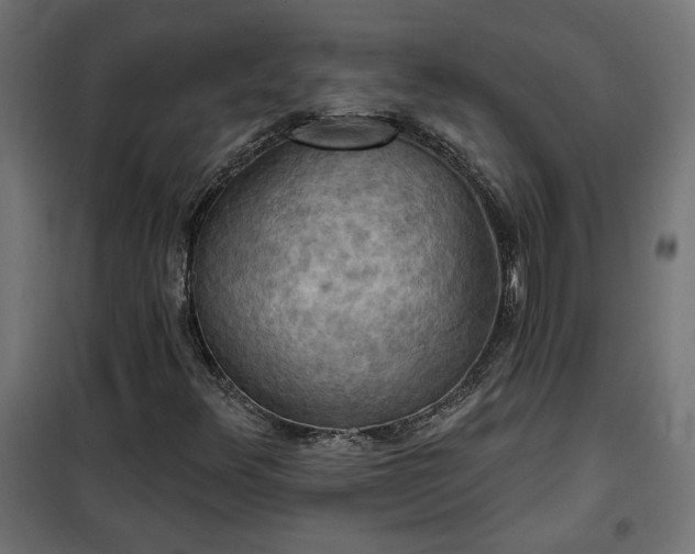 X0000100471348200806201557