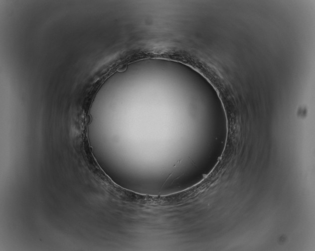 X0000100471349200806201557