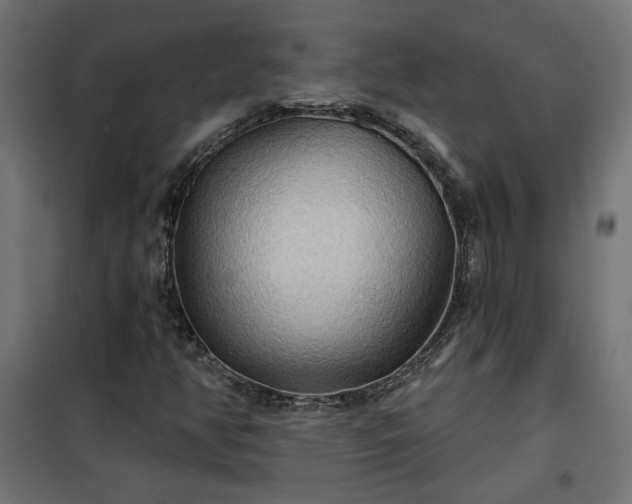 X0000100471350200806201557