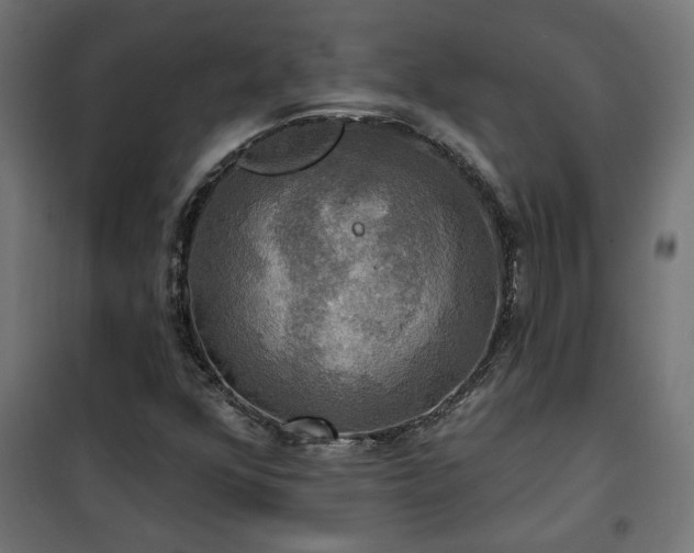 X0000100471352200806201557