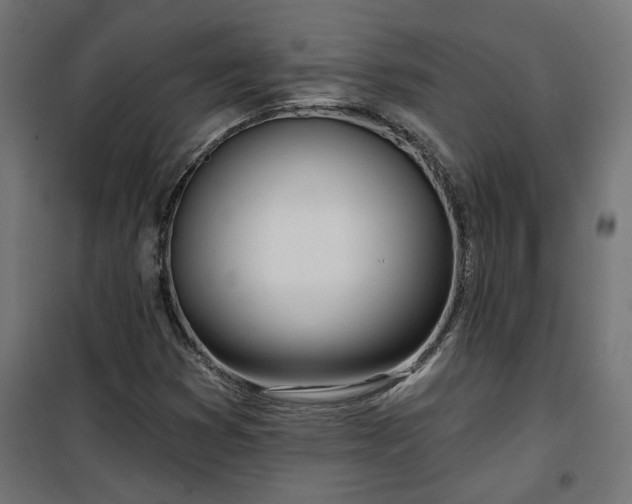 X0000100471353200806201557