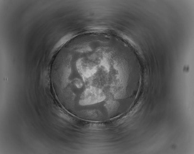 X0000100471354200806201557