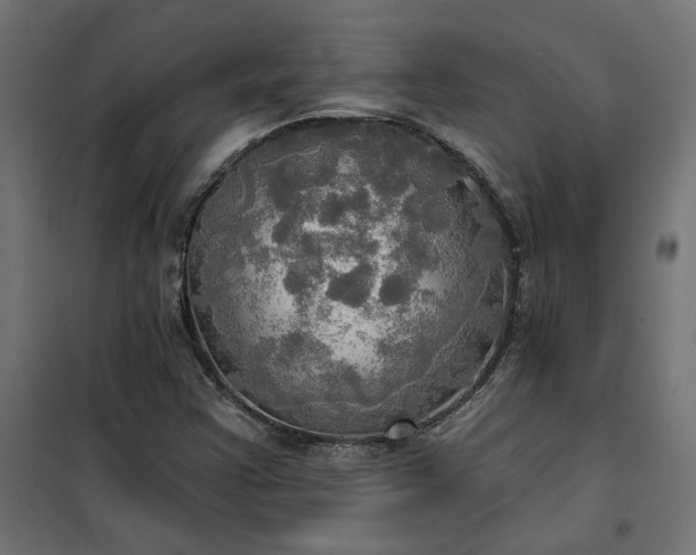 X0000100471355200806201557