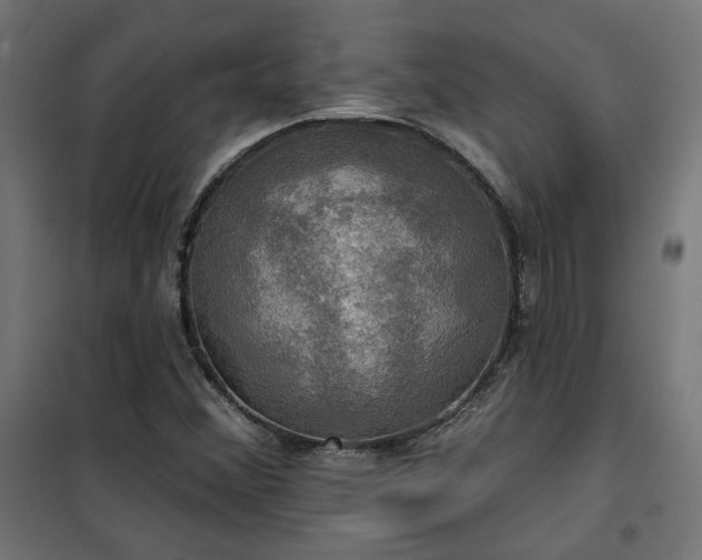 X0000100471356200806201557