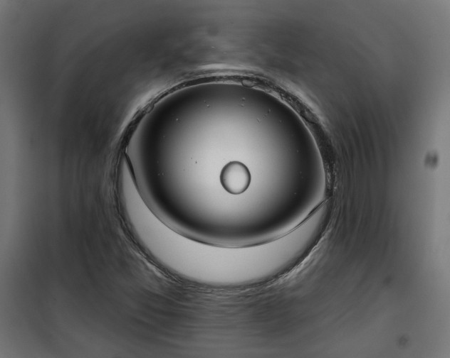 X0000100471357200806201557