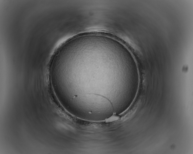 X0000100471358200806201557