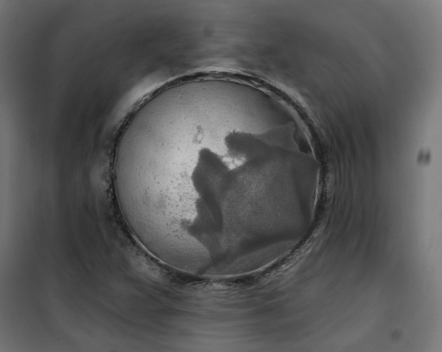 X0000100471359200806201557