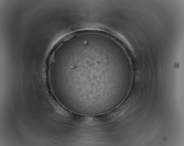 X0000100471360200806201557