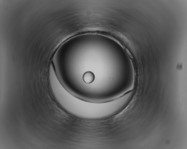 X0000100471361200806201557