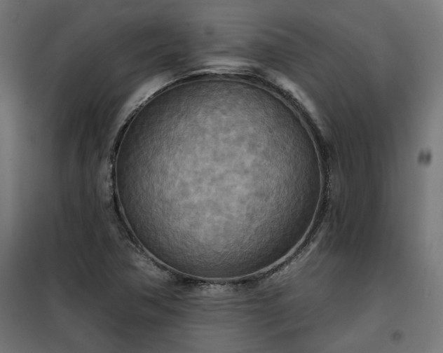 X0000100471362200806201557