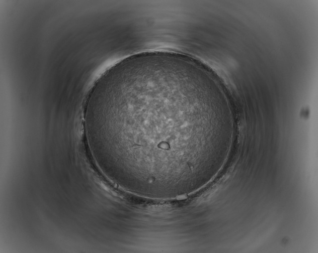 X0000100471363200806201557