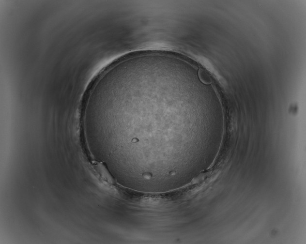 X0000100471364200806201557