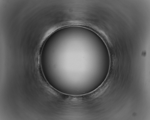 X0000100471365200806201557