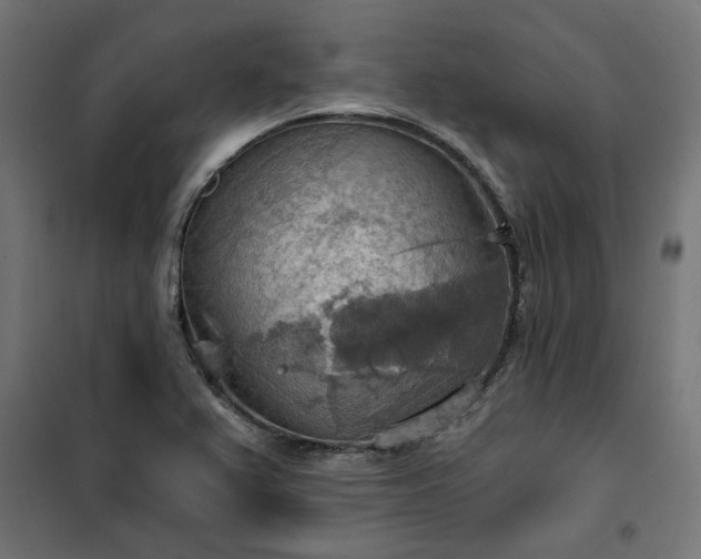 X0000100471367200806201557