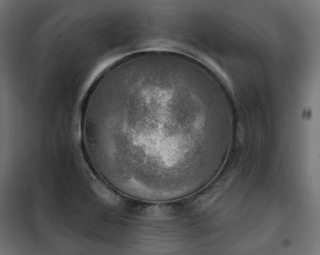 X0000100471368200806201557