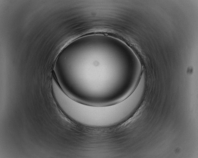 X0000100471369200806201557