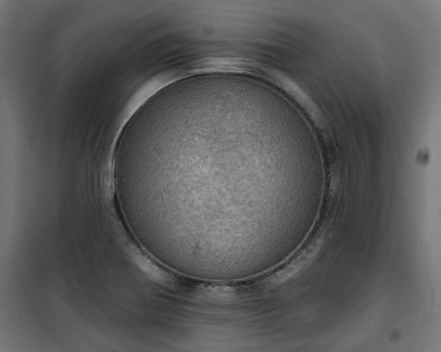 X0000100471370200806201556