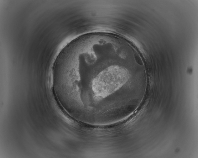 X0000100471371200806201556