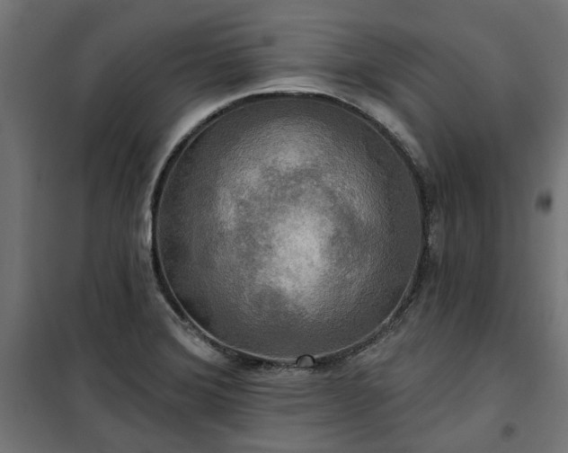 X0000100471372200806201556