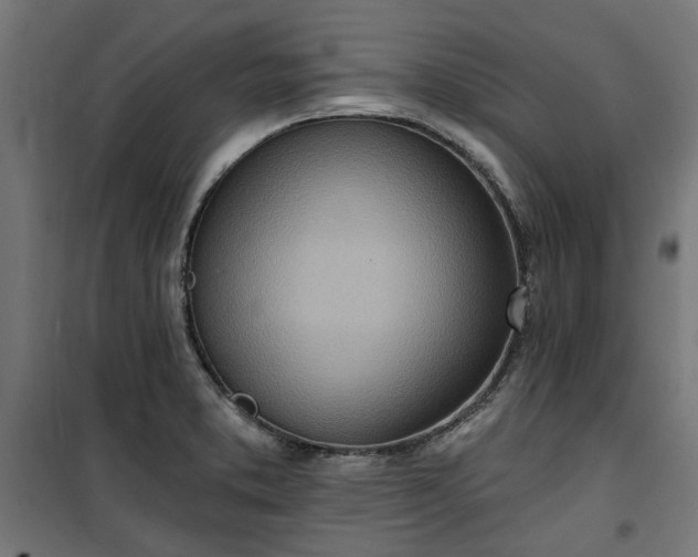 X0000100471373200806201556