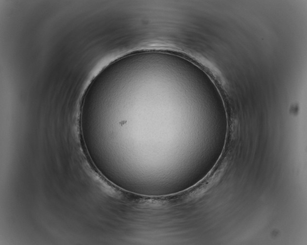 X0000100471374200806201556