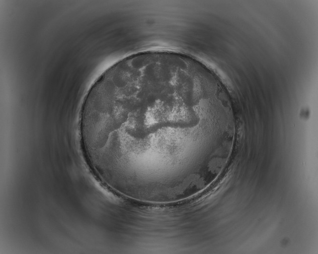 X0000100471375200806201556