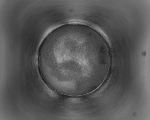 X0000100471376200806201556