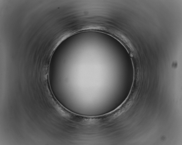 X0000100471377200806201556