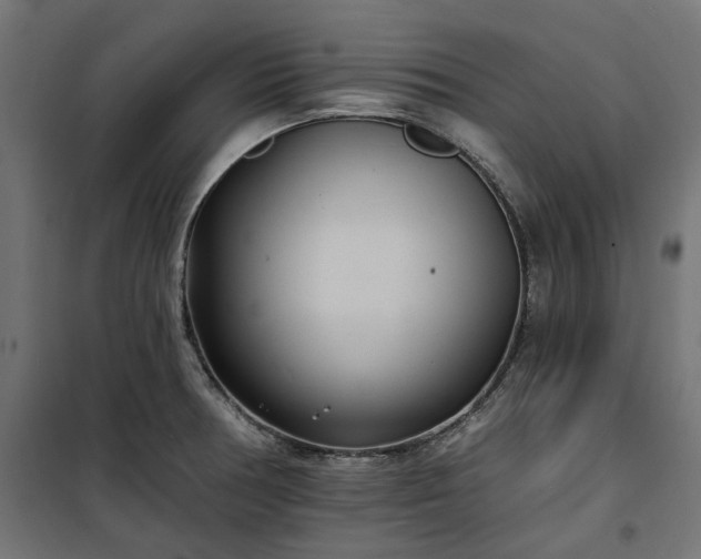 X0000100471378200806201556