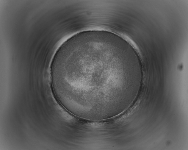 X0000100471380200806201556