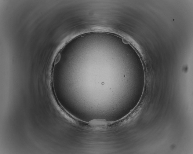 X0000100471381200806201556