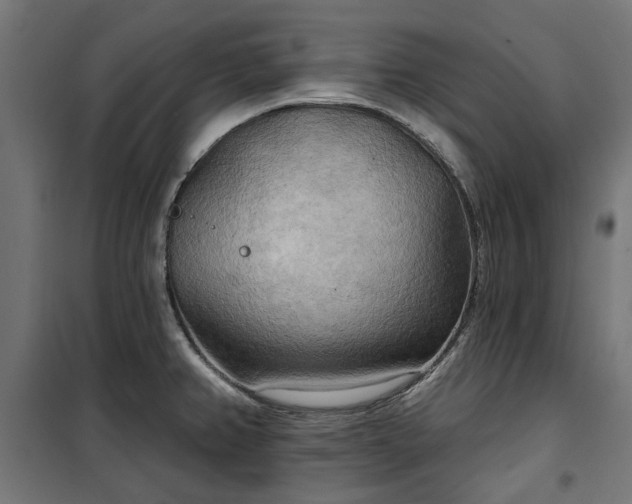 X0000100471382200806201556