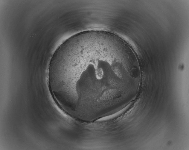 X0000100471383200806201556