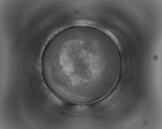 X0000100471384200806201556