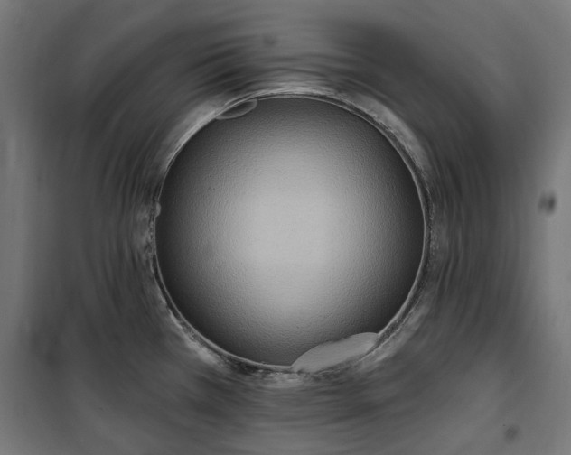 X0000100471385200806201556