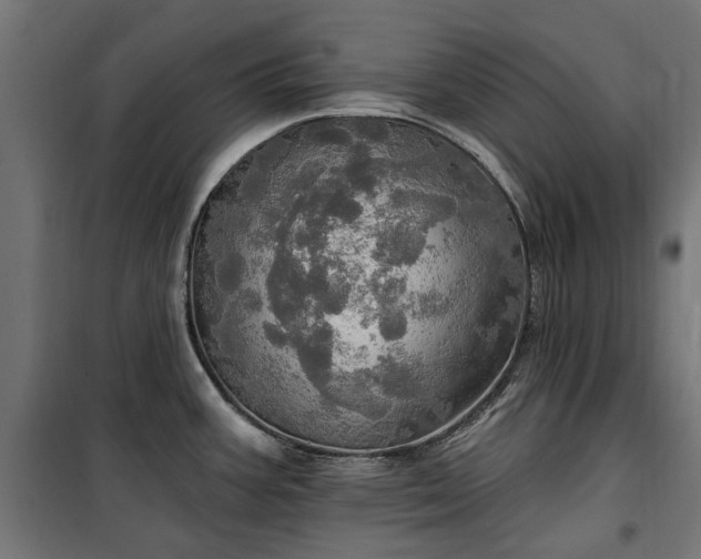 X0000100471387200806201556