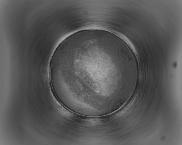 X0000100471388200806201556