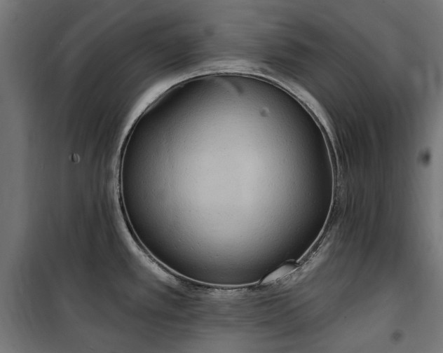 X0000100471389200806201556