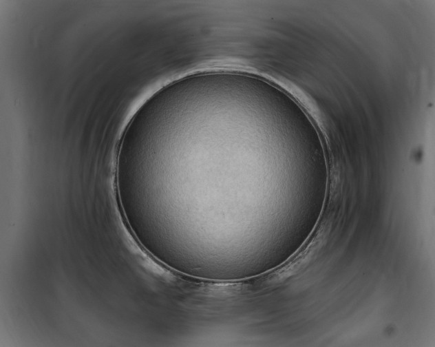 X0000100471390200806201556