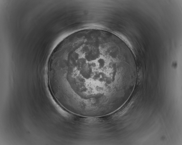 X0000100471391200806201556