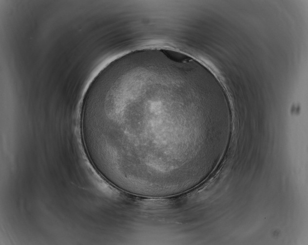 X0000100471392200806201556